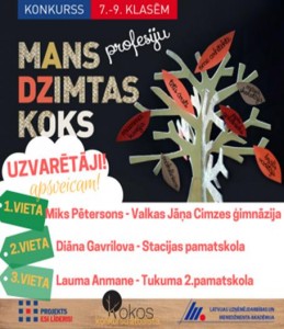 dzimtas koks