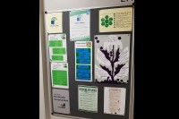 https://photos.app.goo.gl/HJ8Z2W44pLMuifHK7